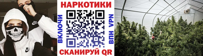 Купить APVP  АМФ  ГАШИШ  Кодеин  Мефедрон  Марихуана  Алексин