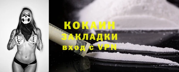 гидра Кулебаки