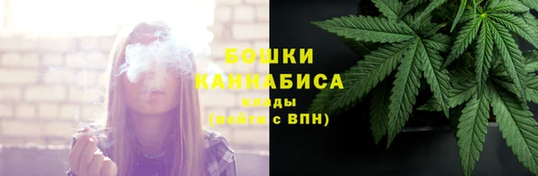 гидра Кулебаки