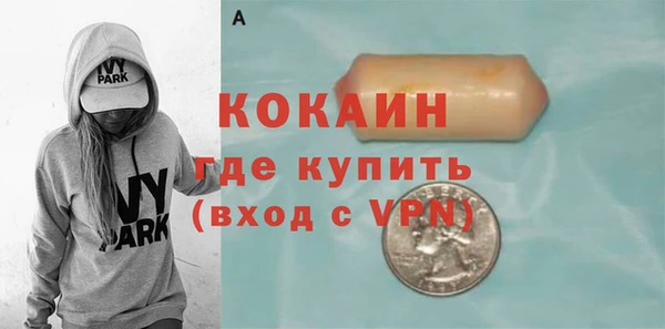 гидра Кулебаки